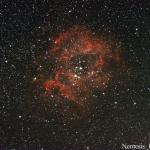 PierreW-NGC2237